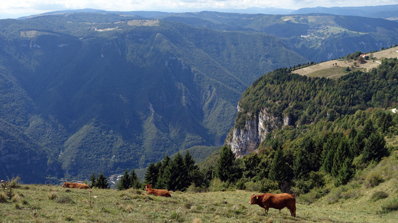 2017-09-04_135916 trentino-suedtirol-2017.jpg - Wanderung hoch ber dem Brentatal